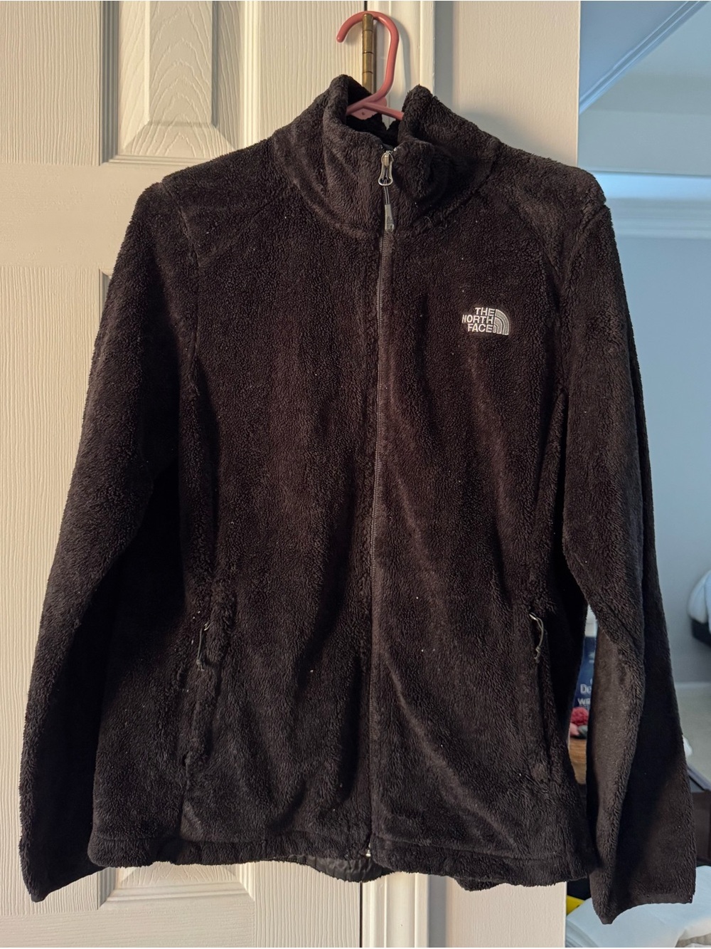 The North Face Black Women's Teddy Fleece Jacket
